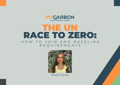 The UN “Race to Zero” Campaign: How to Join and Baseline Requirements